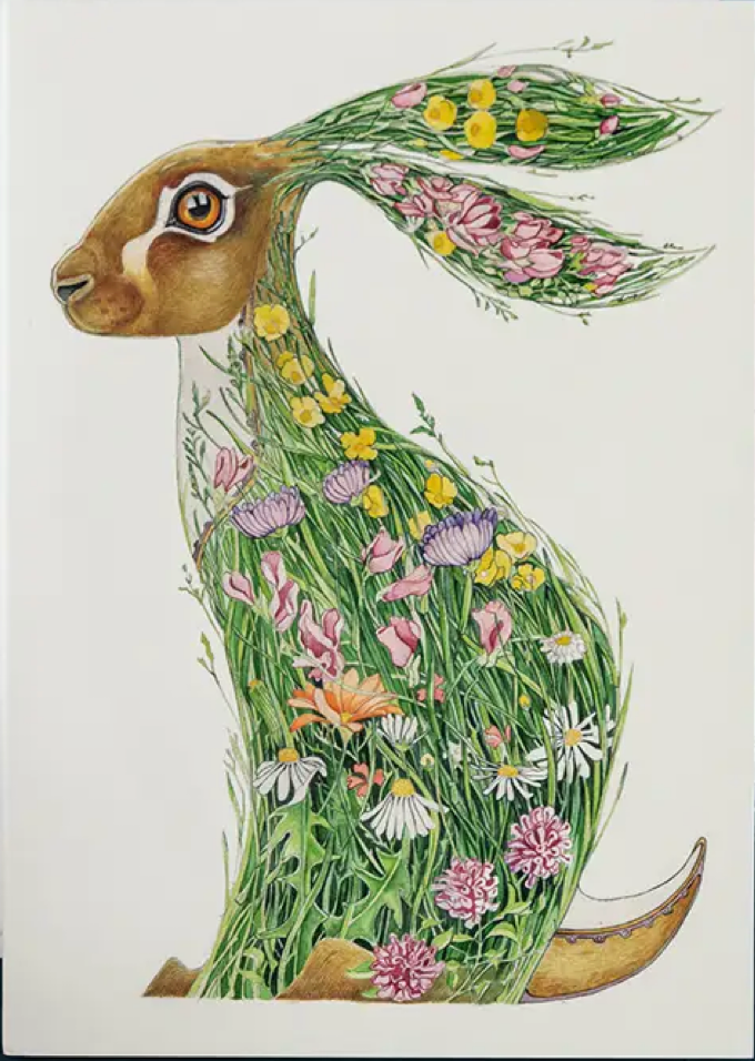 Hare in A Meadow Card by Daniel Mackie