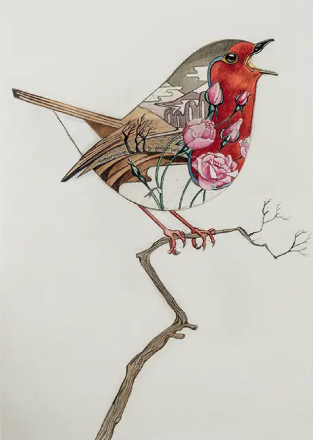 Robin Card by Daniel Mackie