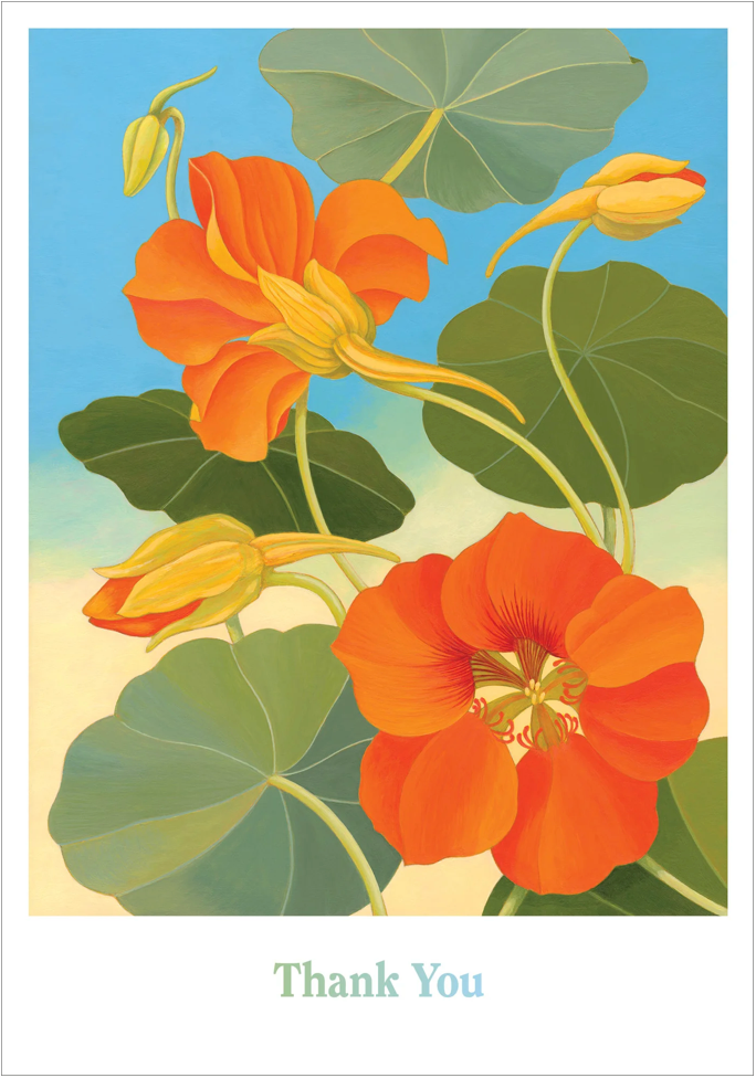 Siri Schillios: Nasturtium Boxed Thank You Notes