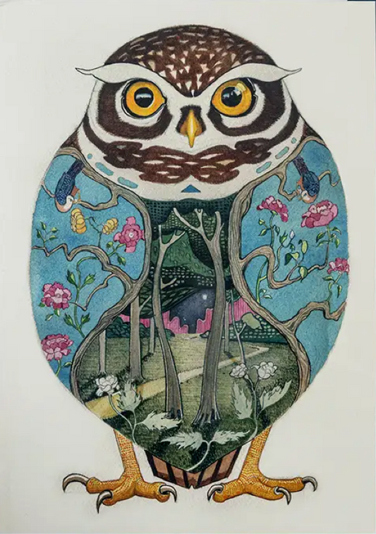 Little Owl Card by Daniel Mackie