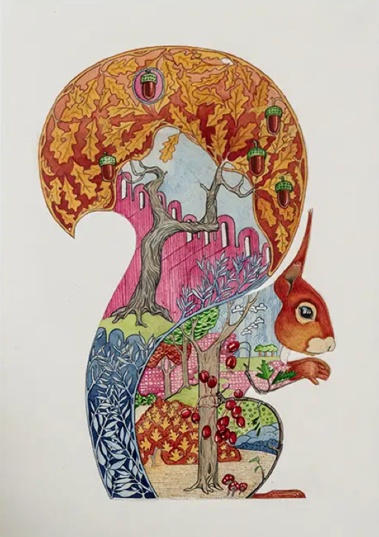 Red Squirrel Card by Daniel Mackie