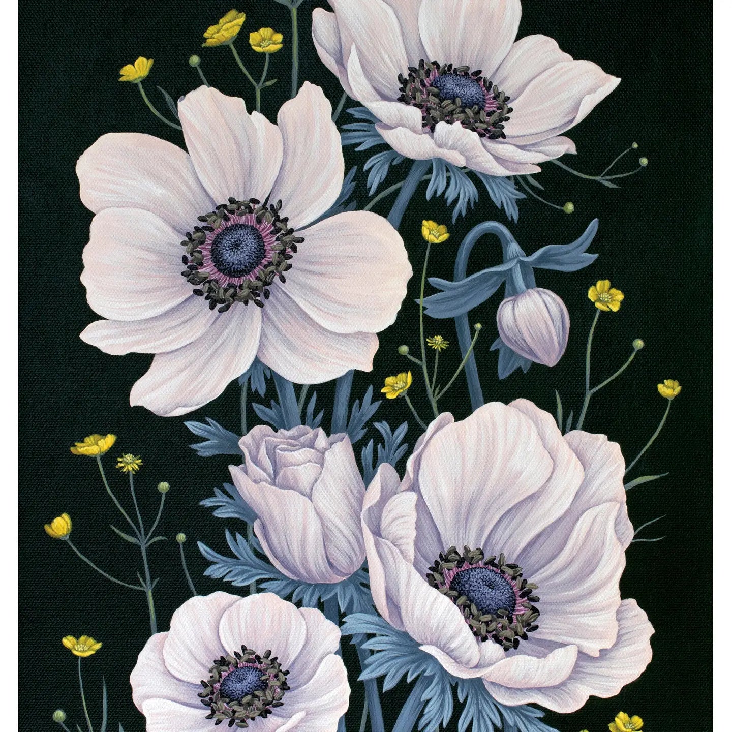 Vasilisa Romanenko: Anemones Birthday Card