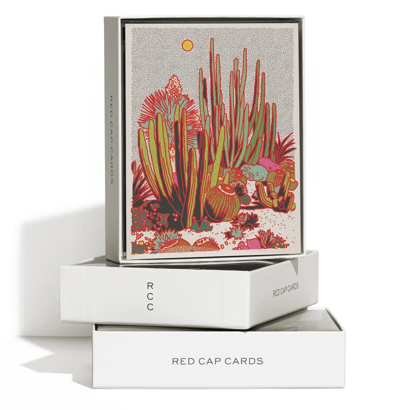 Cactus Scene Everyday Greeting Card - Set of 8
