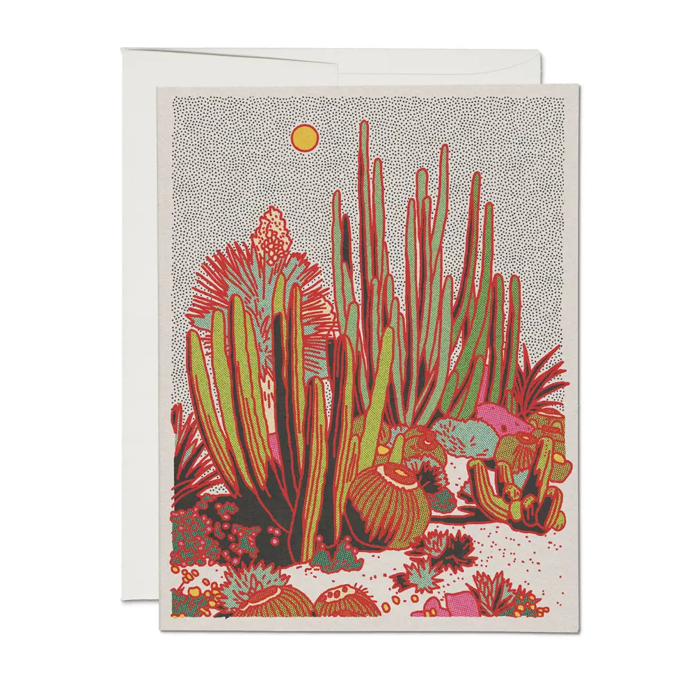 Cactus Scene Everyday Greeting Card - Set of 8