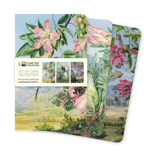 Kew Gardens Marianne North Set of 3 Mini Notebooks