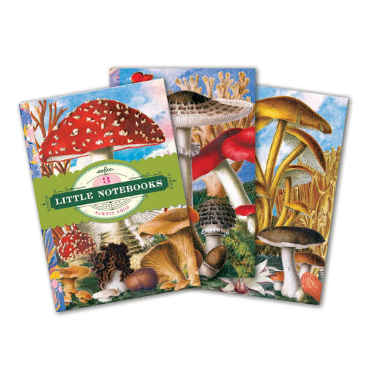 Fumiha's Mushroom Little Book Set