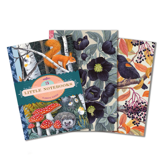 Vasilisa Little Book Set