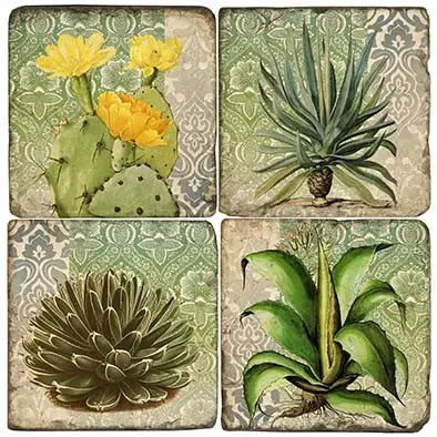 Succulents - Tumbled Marble Coasters Set of 4