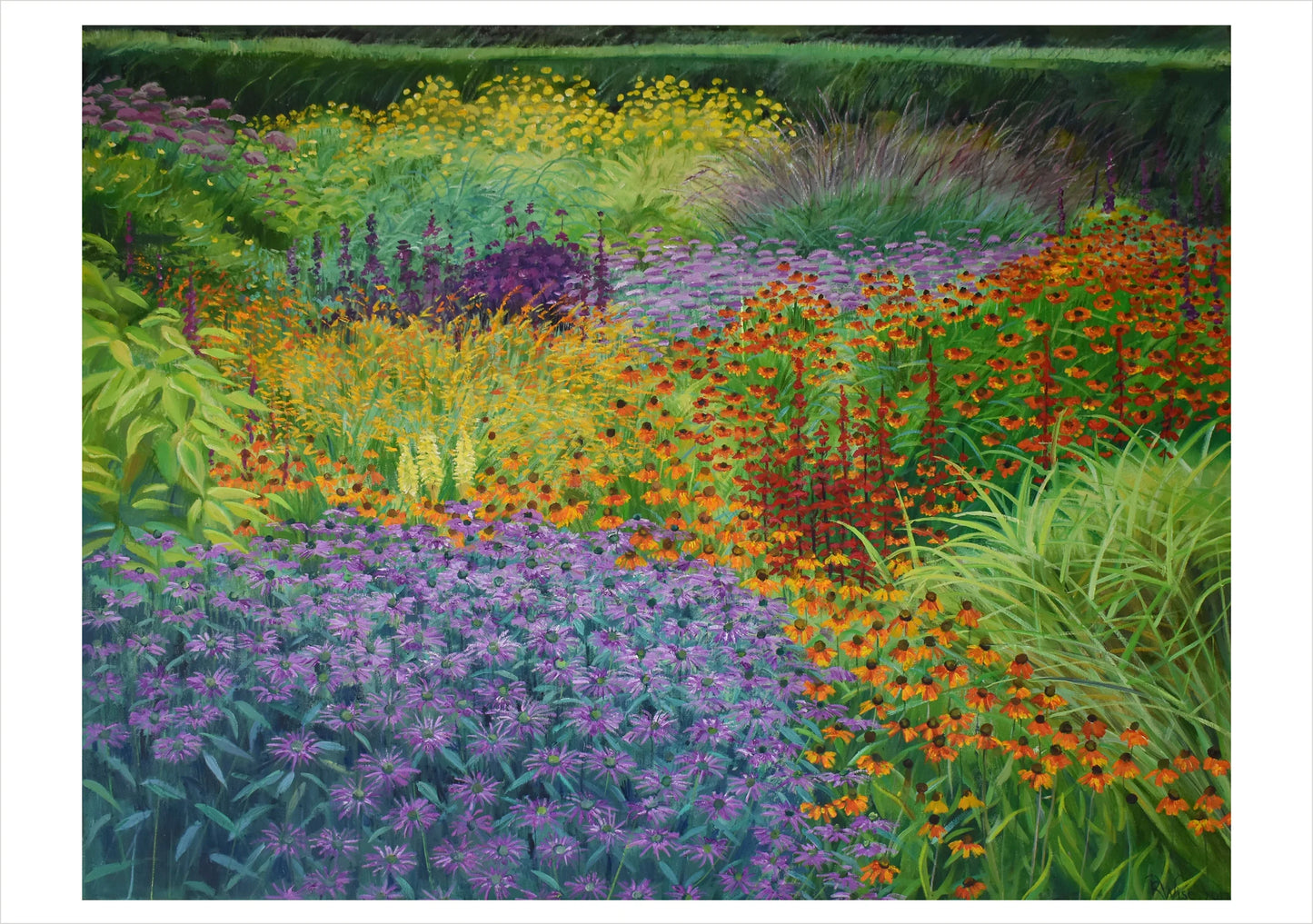 Rosalind Wise: Garden Borders Boxed Notecard Assortment