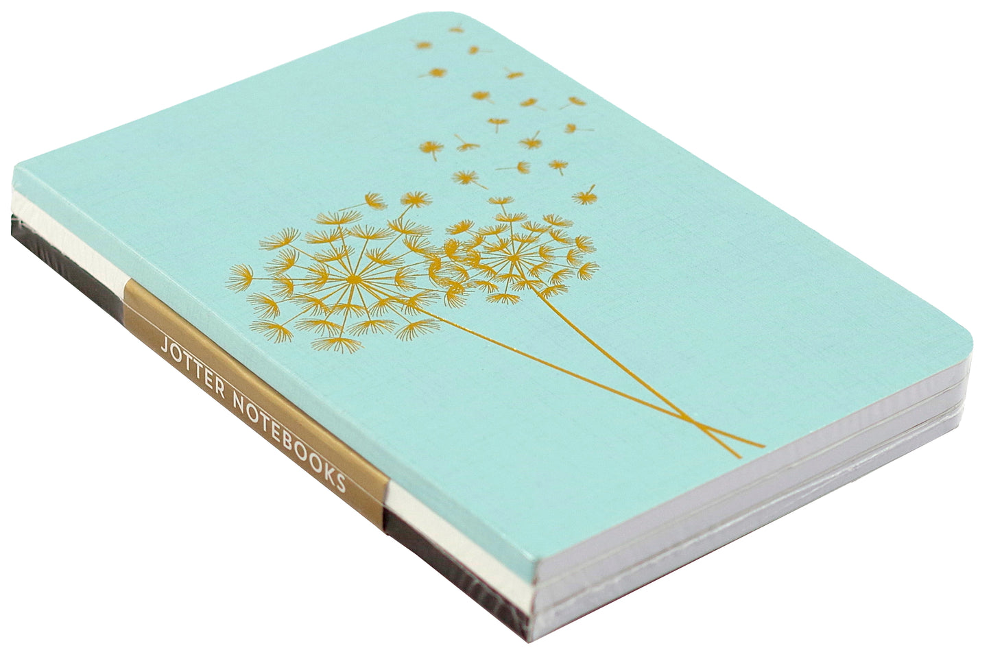 Dandelion Wishes Mini Jotter Set
